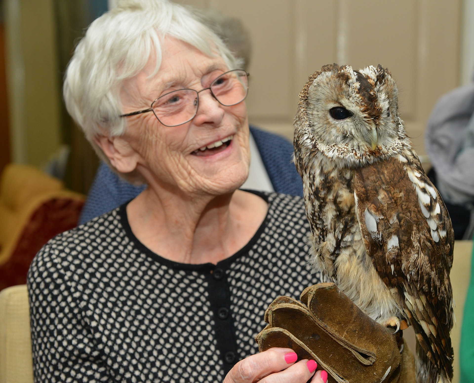 Eagle-eyed pupils join Edinburgh care homes for the Big Garden Birdwatch